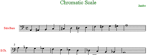 Notes De Musique C Gamme Majeure, Notation Anglaise, Notation Allemande  Avec H Au Lieu De B, Plus Syllabes De Solmisation Et Portée Musicale De Base  Correspondante, Clé De C. Vecteur Sur Blanc.